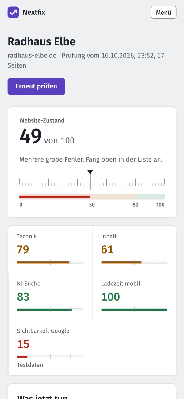 Nextfix auf dem Handy: Website-Zustand und Aufgaben untereinander