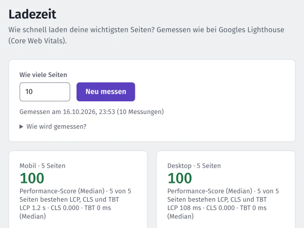 Ladezeit der Demo-Website: mobil 100, Desktop 100